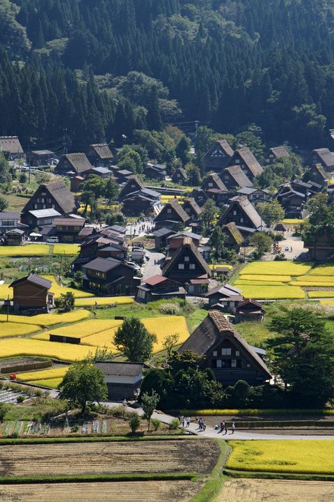 白川郷 合掌造り集落ライトアップ