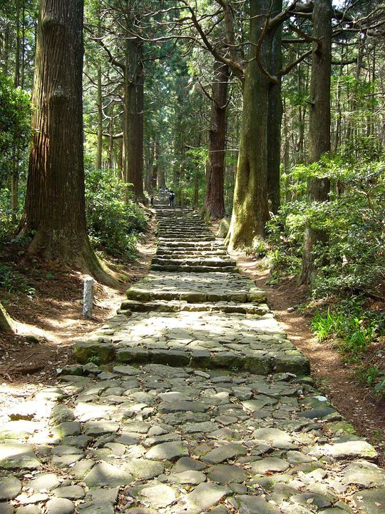 和歌山 熊野古道 大門坂〜那智の滝