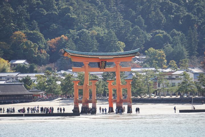 広島 厳島神社 大鳥居