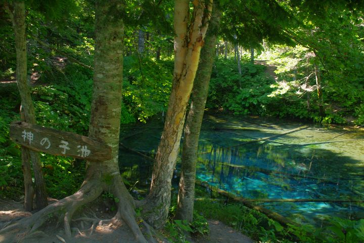 北海道 神の子池