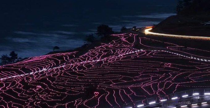 石川 白米千枚田 あぜのきらめき