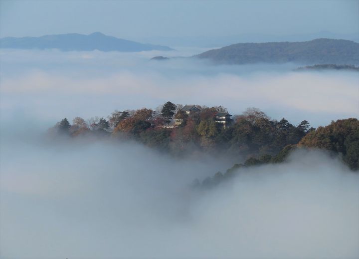 岡山 備中松山城 雲海