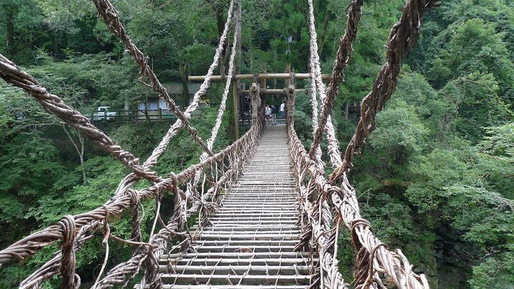 徳島 祖谷のかずら橋／大歩危