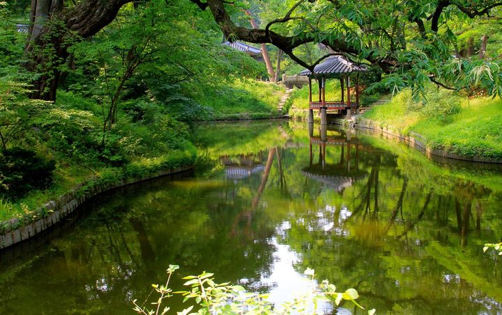 ソウル 昌徳宮 後苑（秘苑）