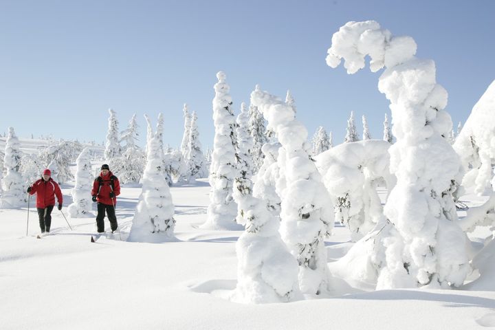 リーシトゥントゥリ 樹氷（ティケュラ）