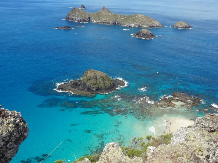 ロードハウ島
